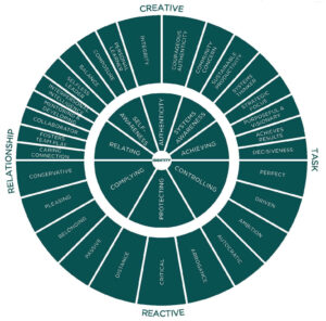 leadership circle profile graph 